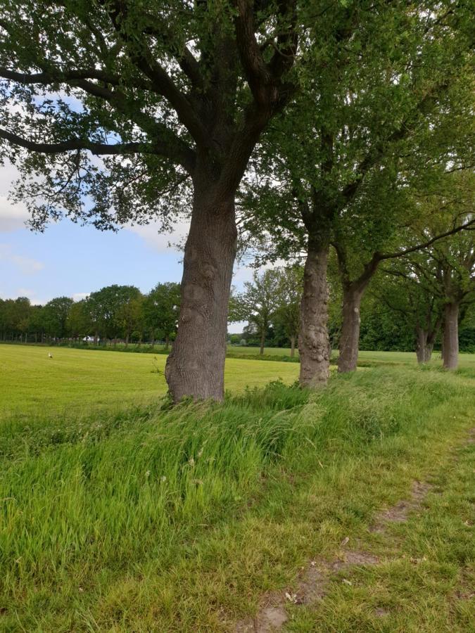 B&B Het Gelders Buitenleven Overasselt Eksteriør billede