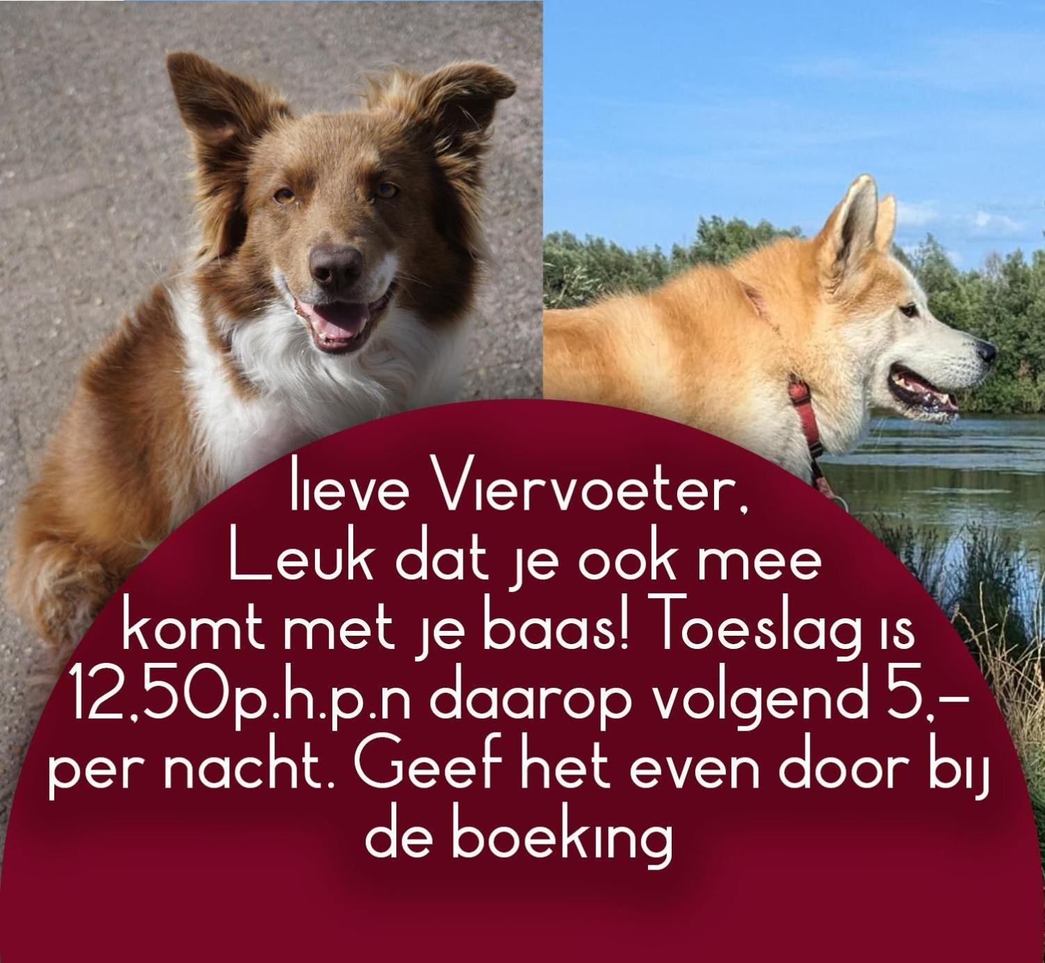 B&B Het Gelders Buitenleven Overasselt Eksteriør billede